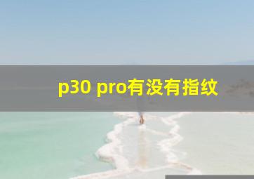 p30 pro有没有指纹